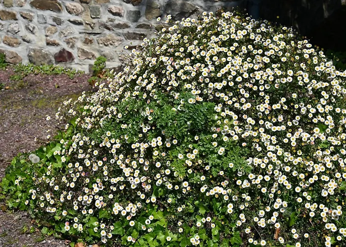 La Demeure Du Perron