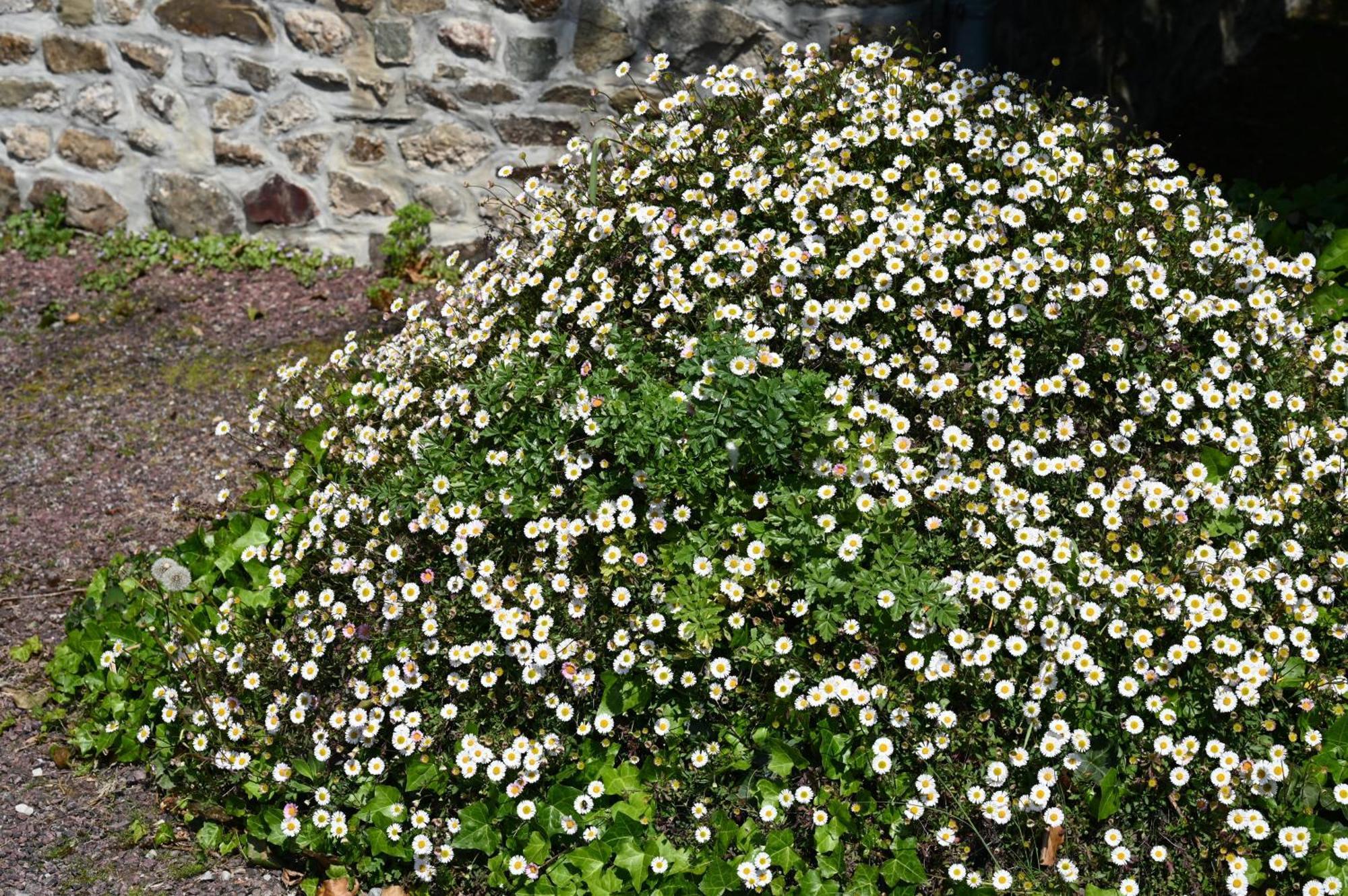 Logis La Demeure Du Perron